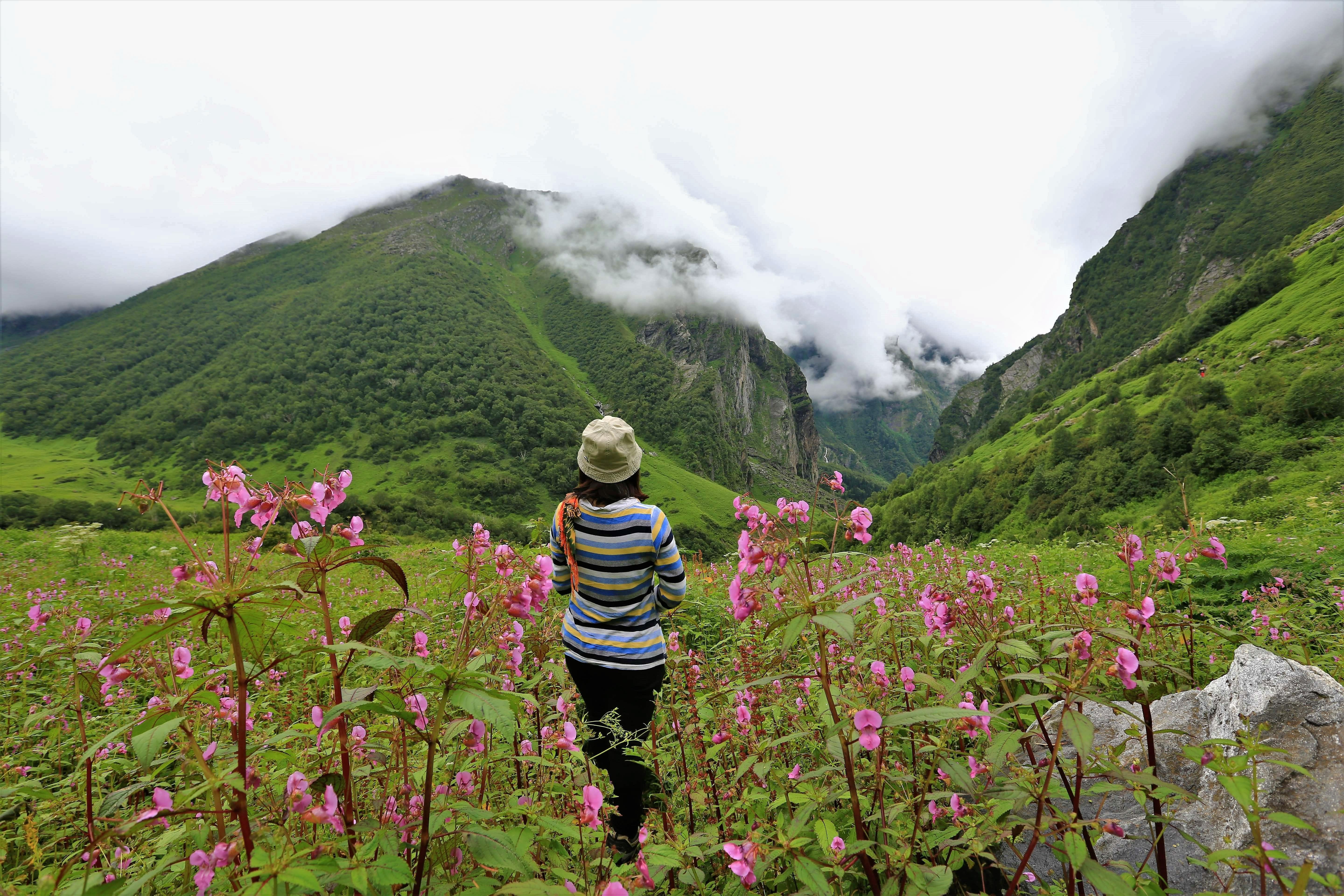 A Common Misconception About Visiting The Valley Of Flowers