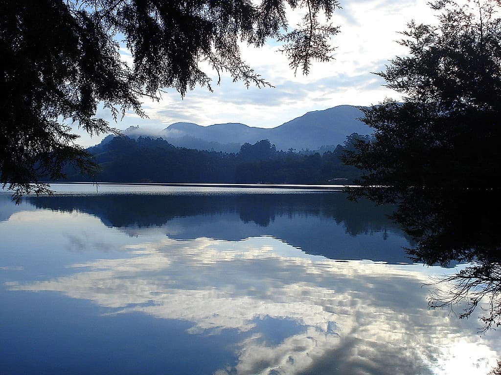 Best Time and Season to Visit Munnar 2024