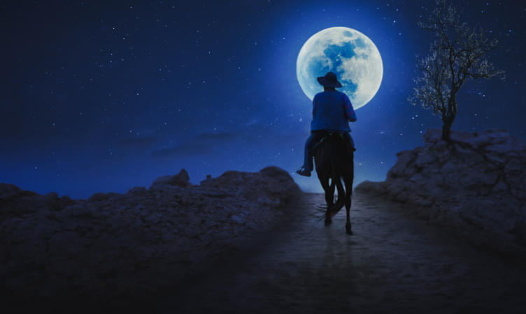 Night Horseback Riding at Mushrif Park