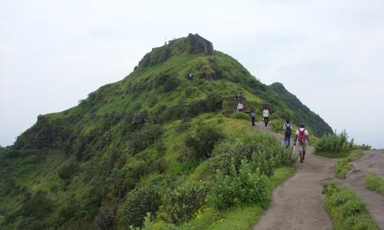 Purandar Fort (50 km from Pune)