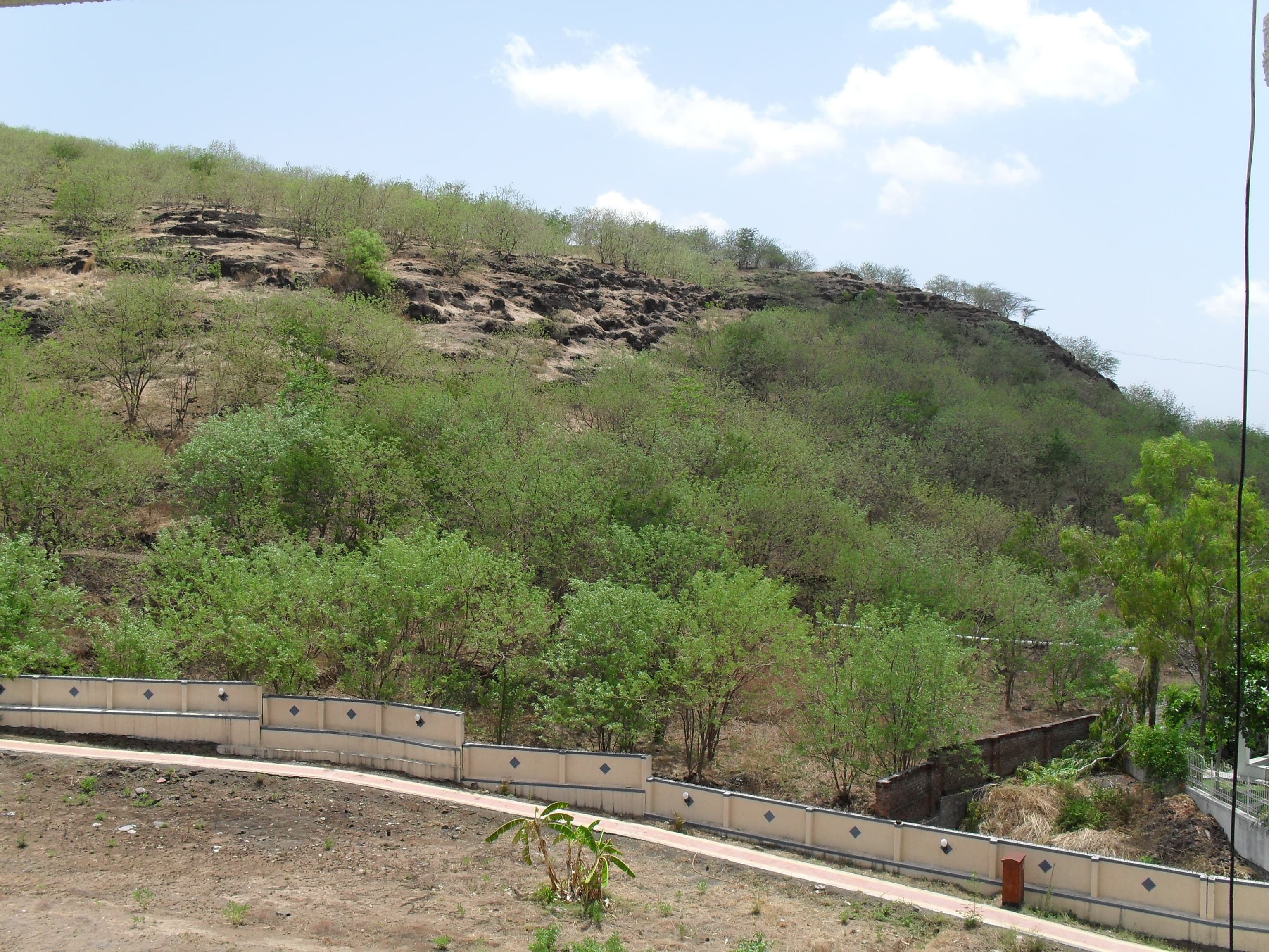 Baner Pashan Biodiversity Park 