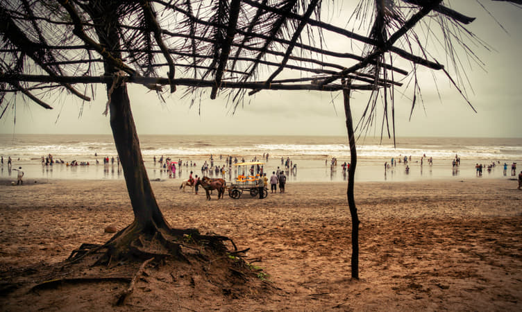 40 Beaches in Maharashtra (Location & Best Time to Visit)