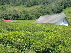Camping by Tea Gardens Ooty - Flat 18% off
