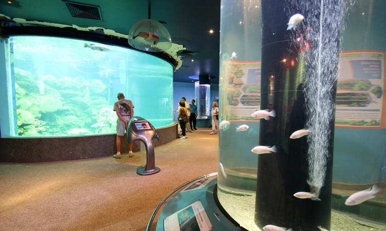 Marine Aquarium and Museum