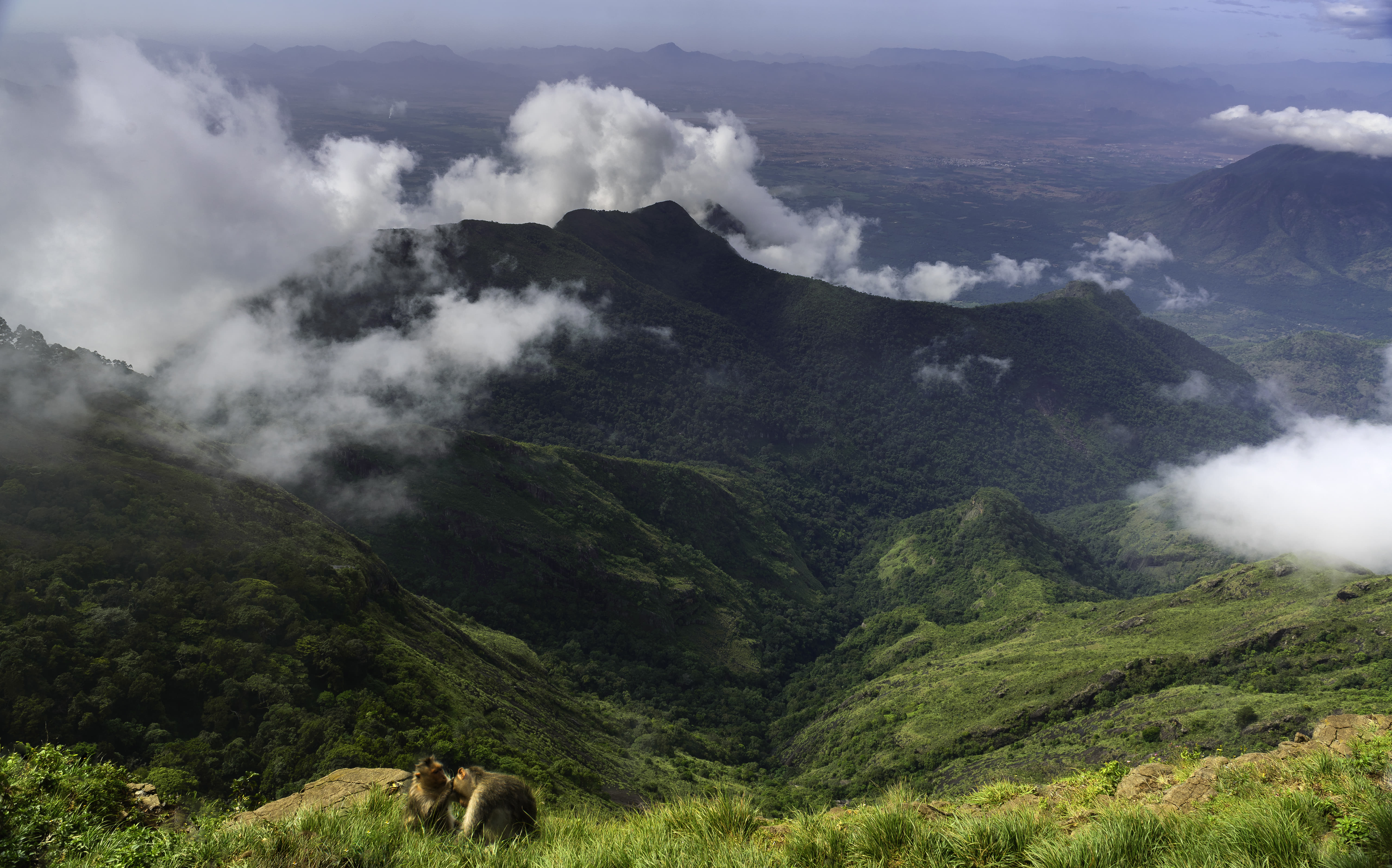 15 Best Places to Visit in Kodaikanal in 2 Days - {{year}} (Photos)