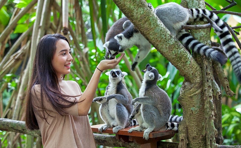 Bali Zoo Admission Ticket- Flat 20% off