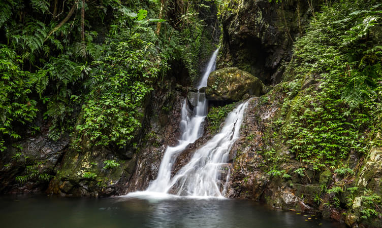 Tai Mo Shan Waterfalls  