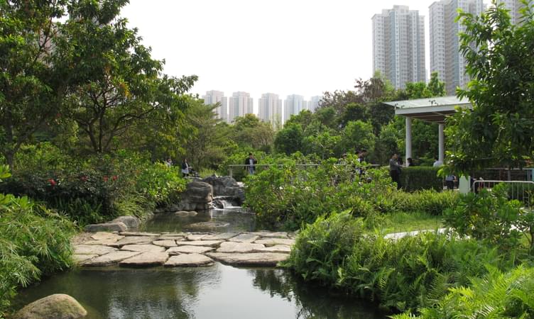 Hong Kong Wet Land Park