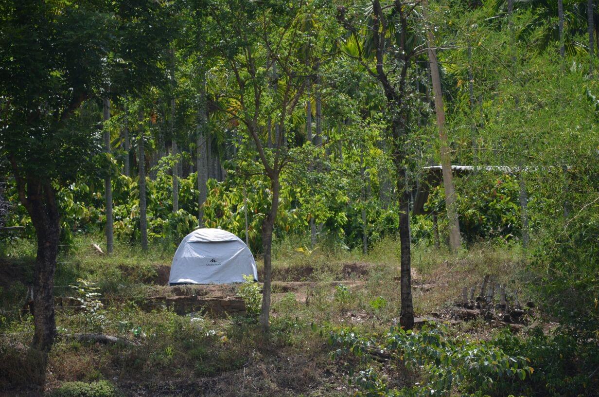 Camping Amidst Nature in Munnar Flat 20% off