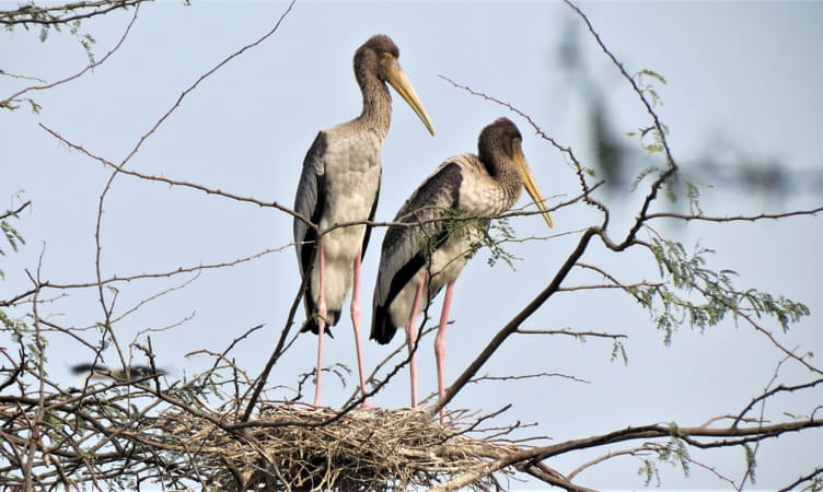 Attidiya Bird Sanctuary