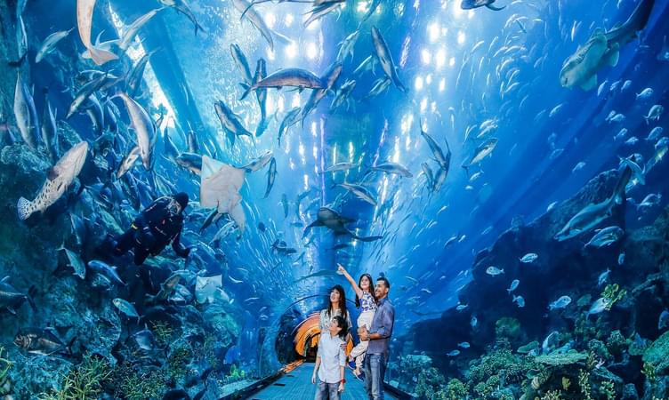 Free View of Dubai Aquarium