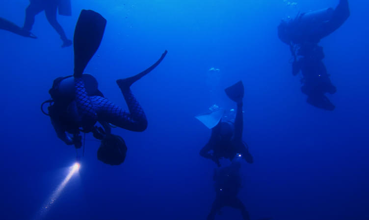 See the Ocean Down Deep at Night - Al Mahara Diving Center