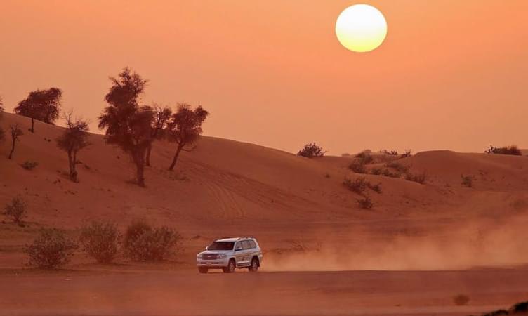 Go for Morning Desert Safari