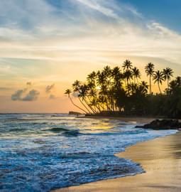 10 Best Beaches in Galle - {{year}} (Photos & 2100+ Reviews)