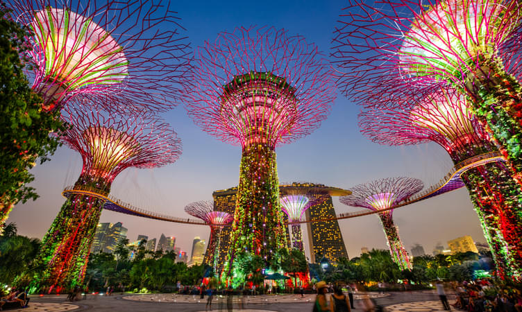 Wander Through Supertree Grove, Gardens By The Bay 