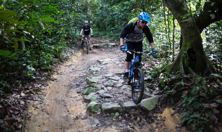 Bukit Timah Mountain Bike Trail