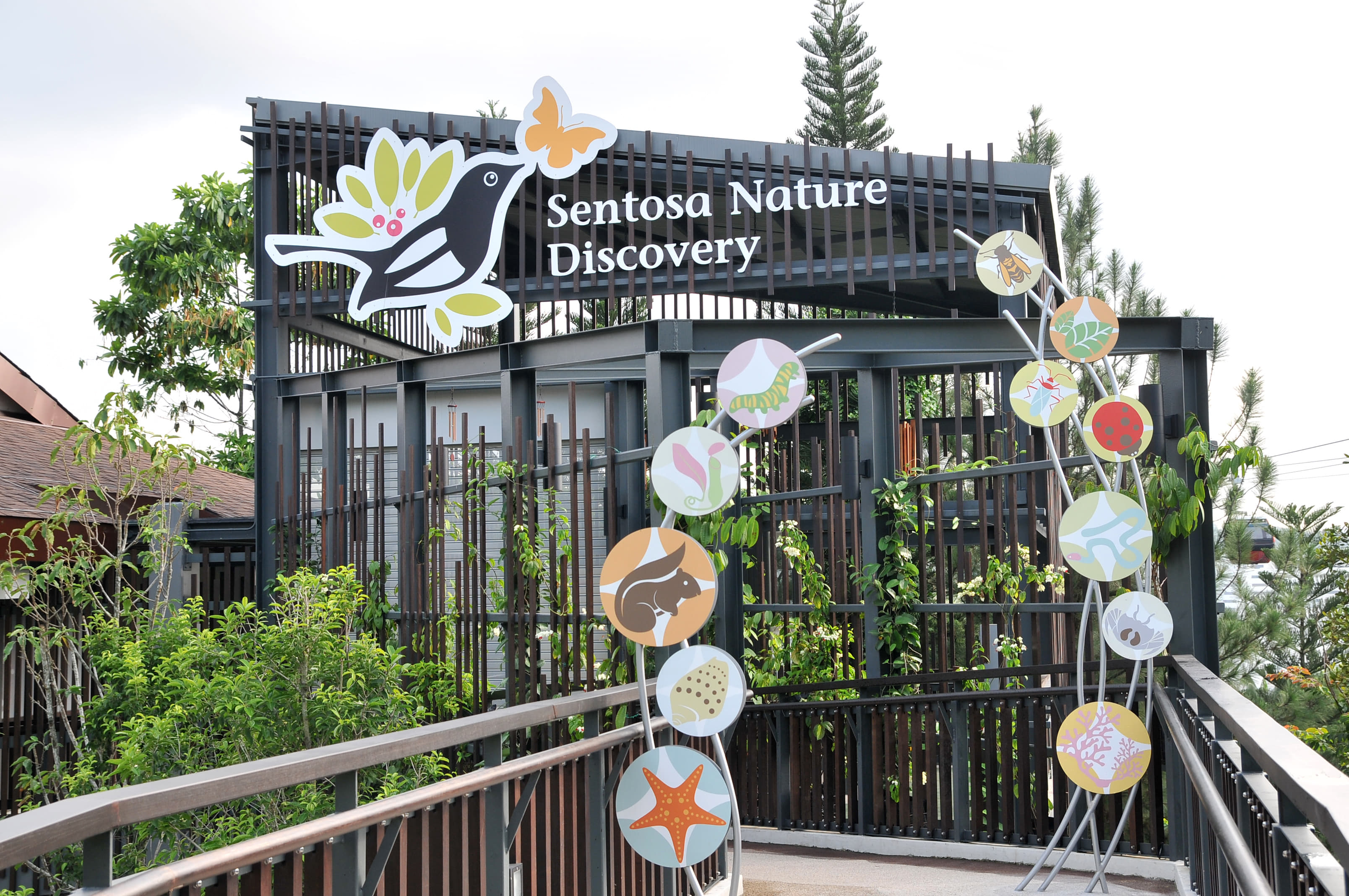 Discover Nature's Wonders at The Sentosa Nature Discovery