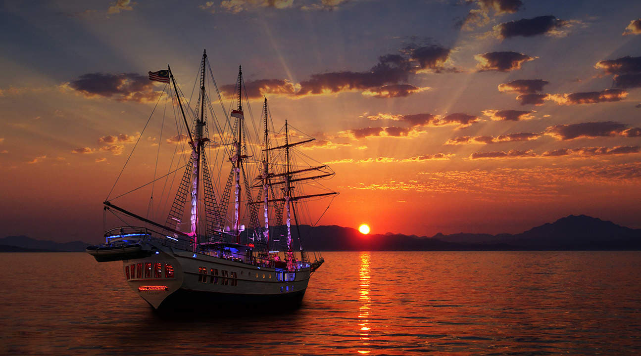 Royal Albatross Sunset Sail   