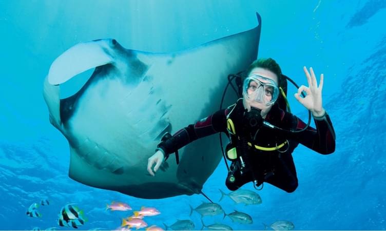 Explore Scuba Diving