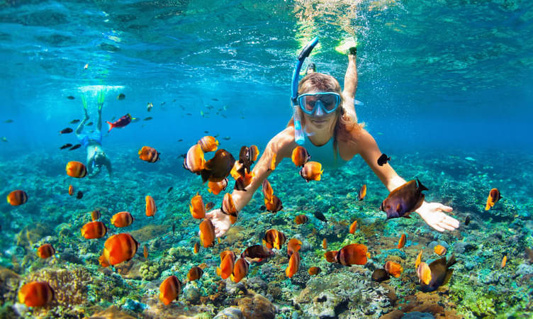 Snorkelling at the Sister Island