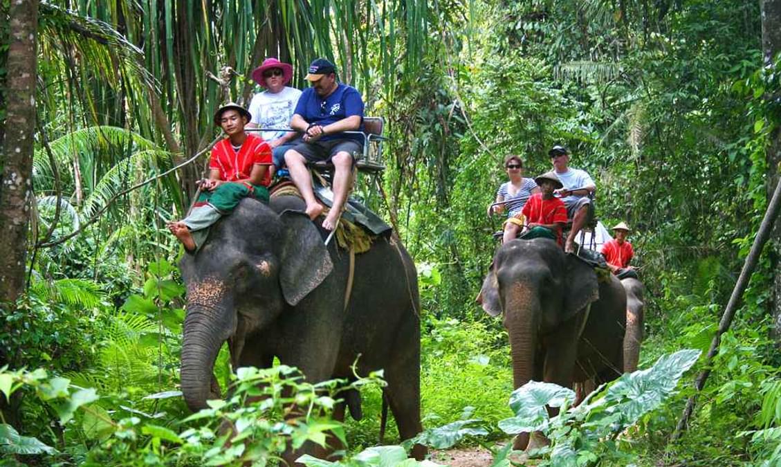 Elephant Trekking in Koh Samui Tour, Rides, Bathing & Feeding