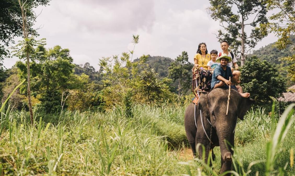 Elephant Trekking in Koh Samui Tour, Rides, Bathing & Feeding
