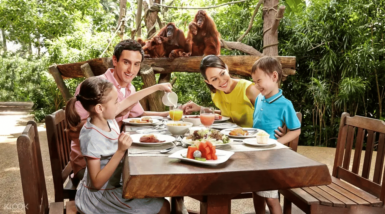 Enjoy a Leisure Dinner in Singapore Zoo