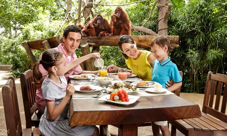 Enjoy a Leisure Dinner in Singapore Zoo