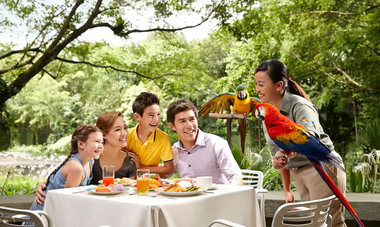 Double Date With the Couple of Parrots