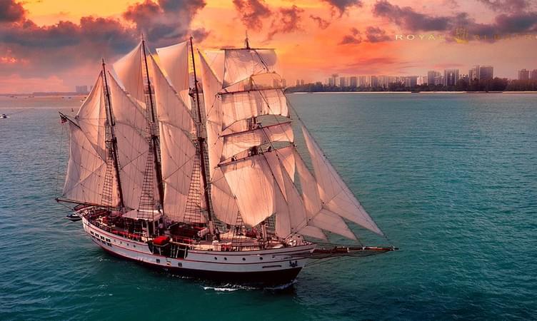 Experience the Grandeur of Royal Albatross Sunset Sail
