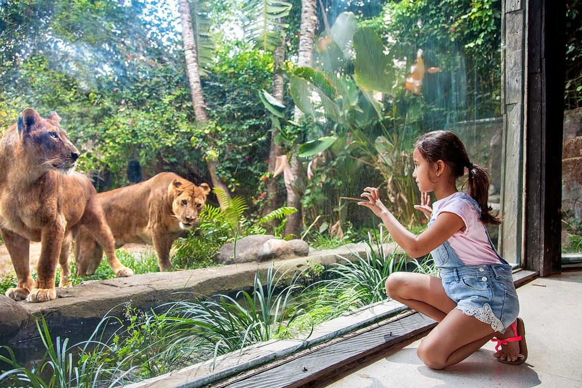 Bali Zoo
