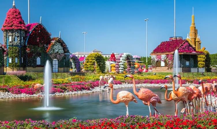 Lose Your Heart at The Scenery of Dubai Miracle Garden