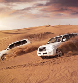 40 Adventures in Dubai {{year}} | Book @ Get Upto 30% Off