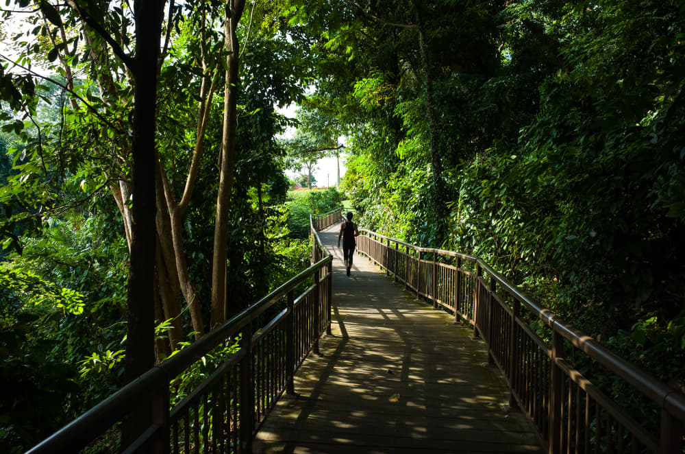 Mount Faber Park