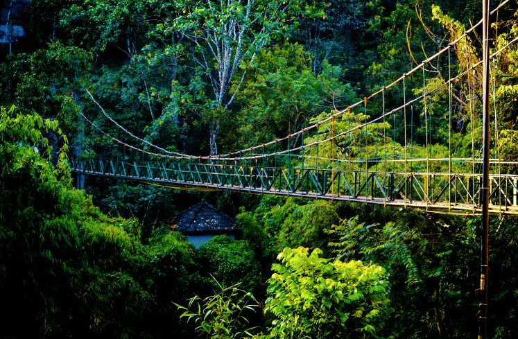 Vythiri (296 Km from Bangalore)