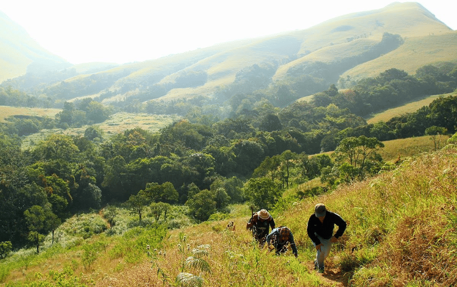 Kudremukh National Park