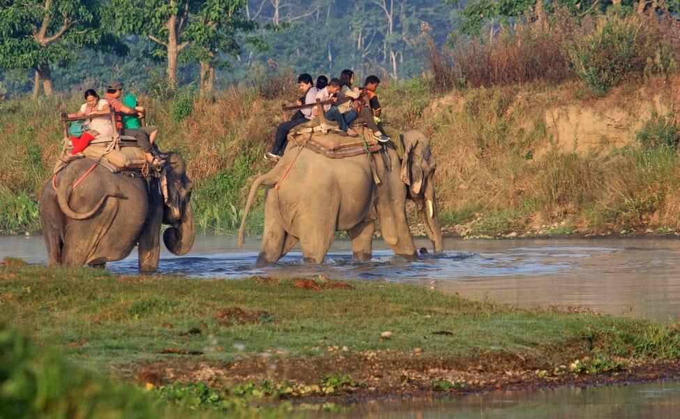 10 Things To Do In KABINI - 2024 Updated List