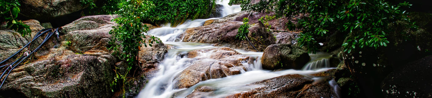 1627098177 shutterstock 1553906945