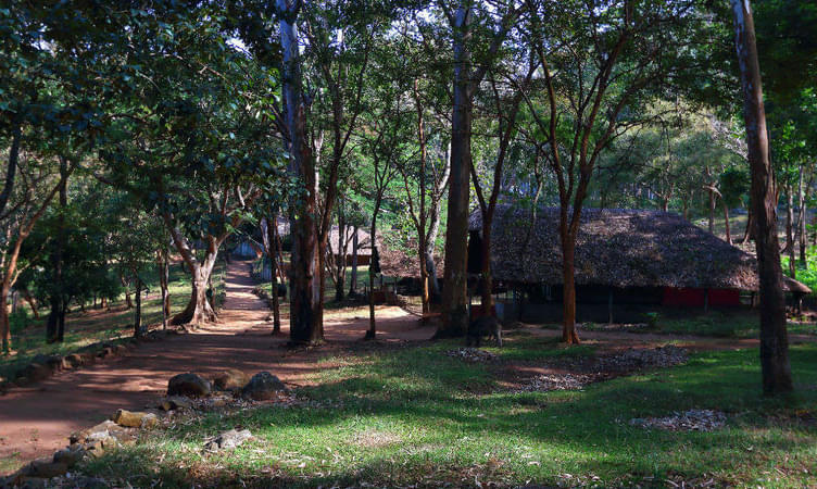  K.Gudi Wilderness Camp