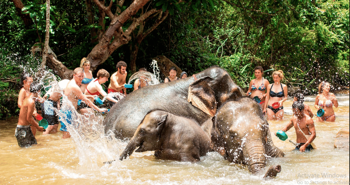 Chiang Mai Elephant Sanctuary