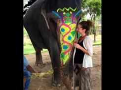 Elephant Activities in Jaipur-flat 27% off