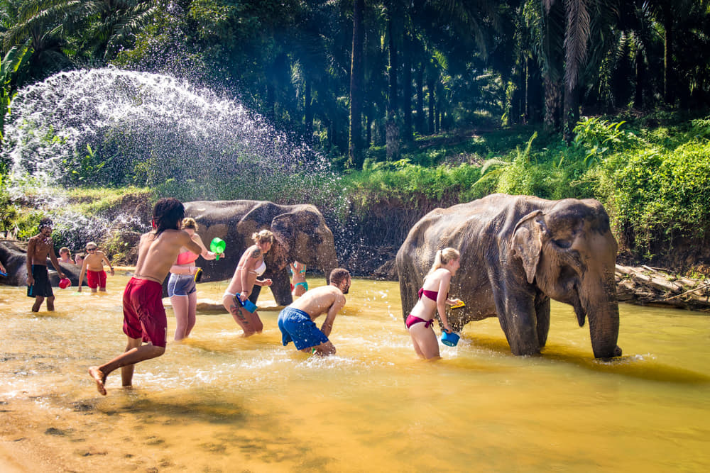 15 Best Elephant Sanctuaries in Chiang Mai - Location, Timing & Rides