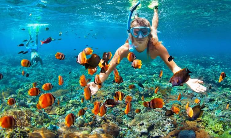 Go snorkeling at Amed