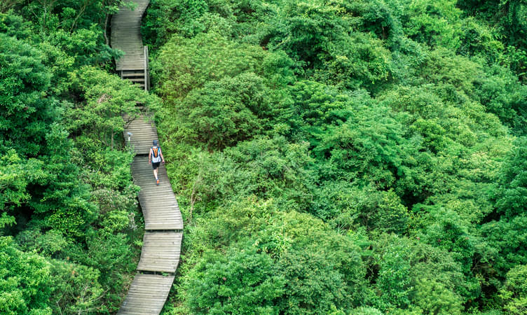 Hike the Lantau Trail