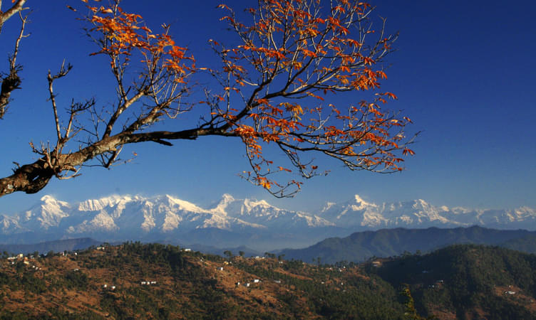 Almora, Uttarakhand (671 km from Jaipur)