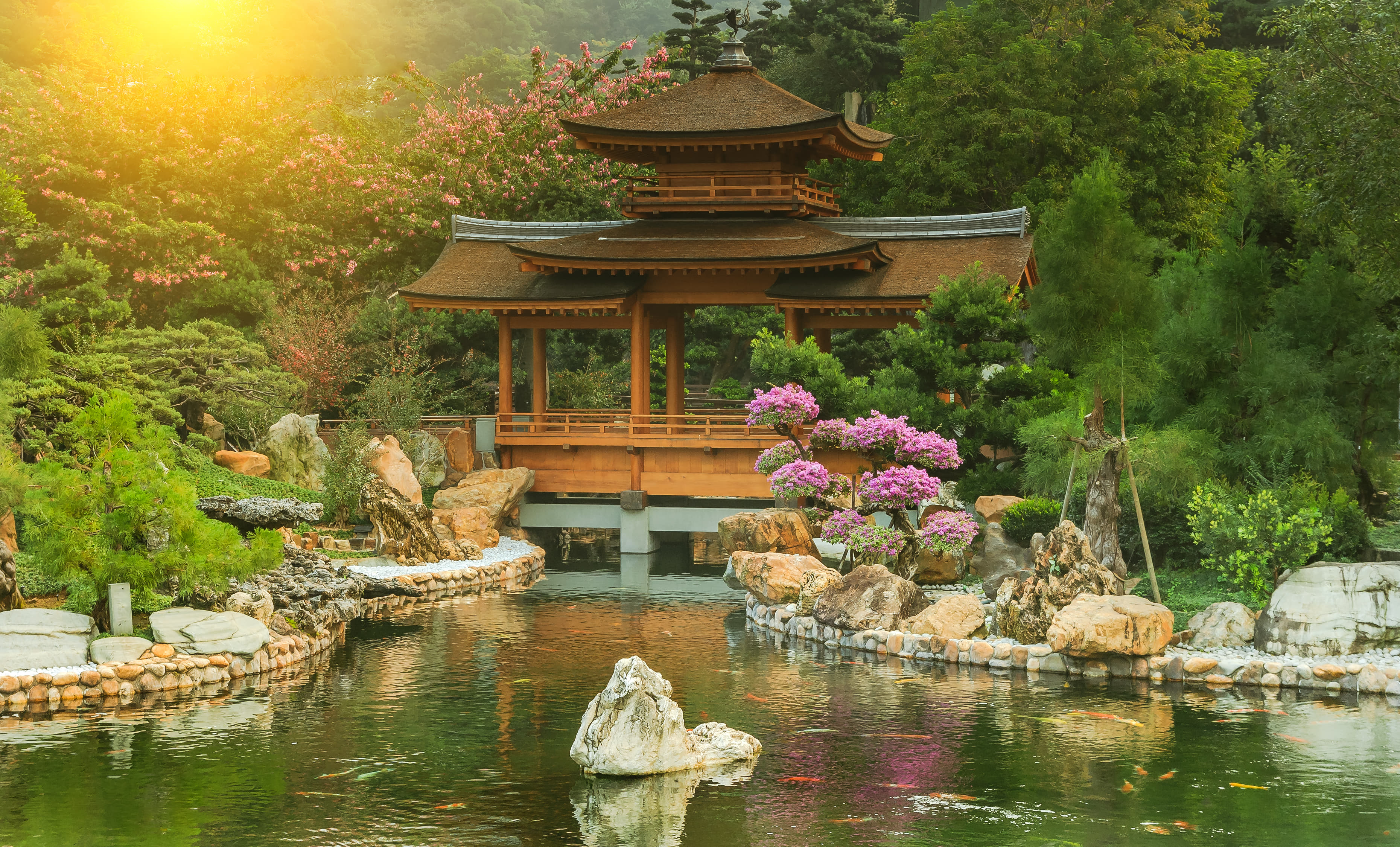 25 Free Things to Do in Hong Kong for an Inexpensive Vacay!