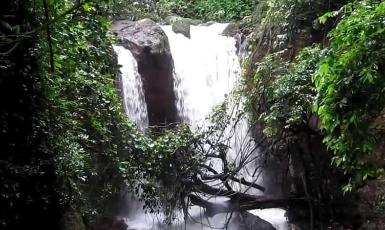 Kesarval Spring Verna Waterfall