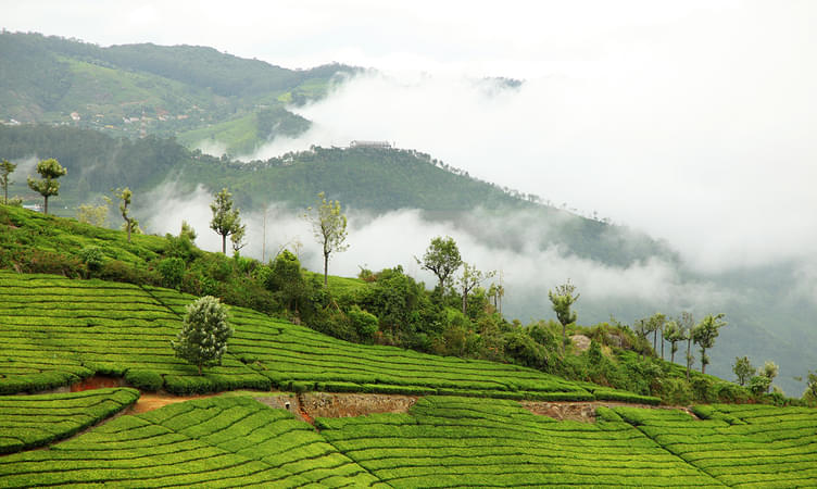 Coonoor - 538.6 km from Chennai