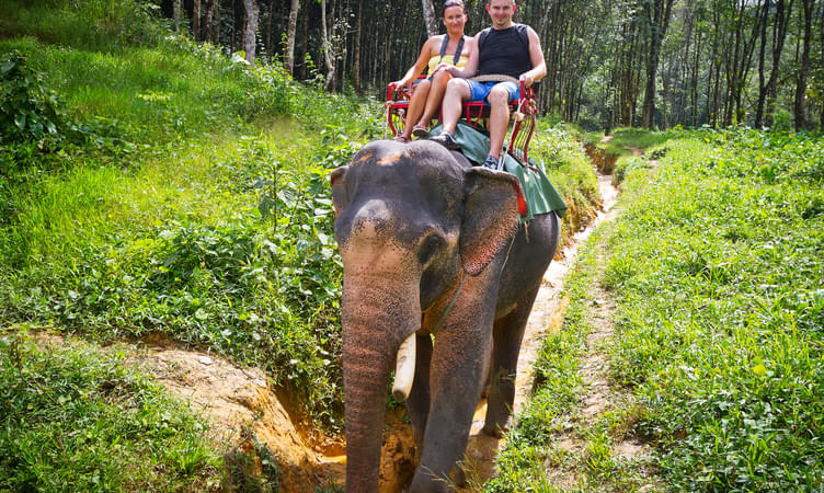 Elephant Jungle Sanctuary 
