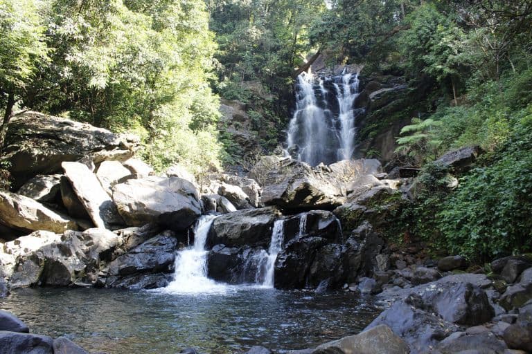  Chikmagalur Homestay With Private Waterfall